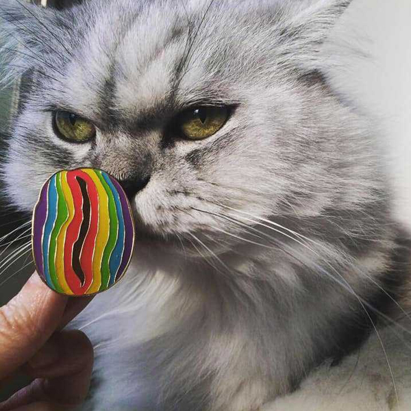 PIC
